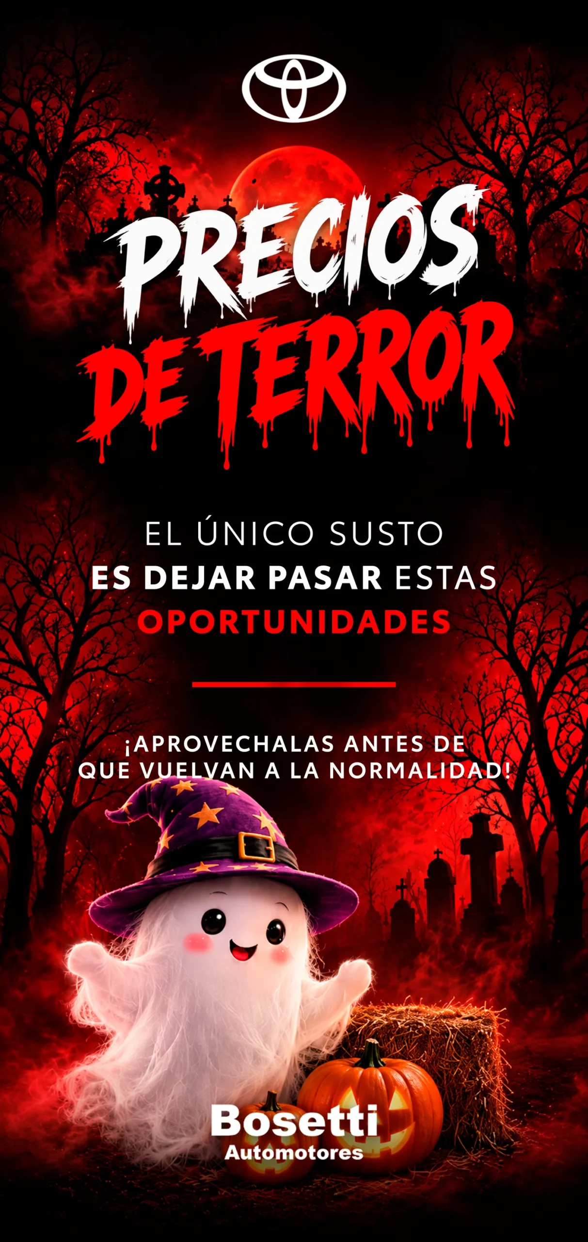 Afiche de campaña 1